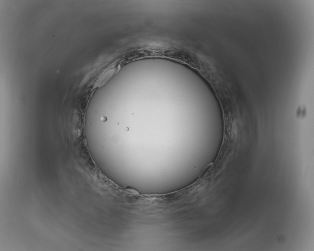 X0000111581253200907161147