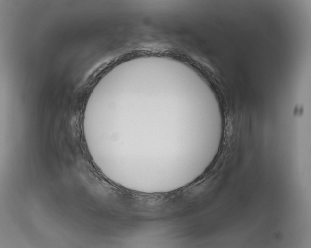 X0000111581254200907161147