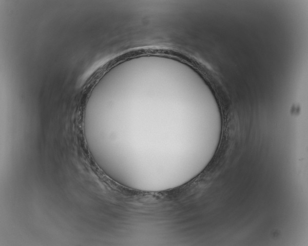 X0000111581255200907161147