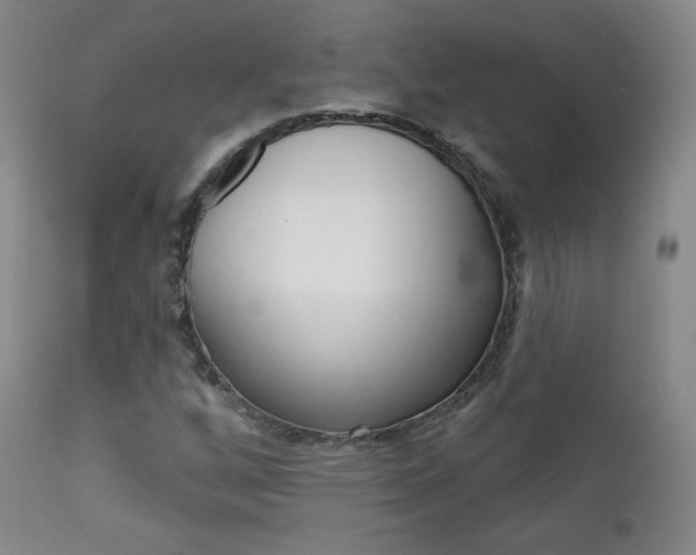 X0000111581256200907161147