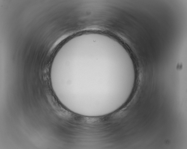 X0000111581258200907161147