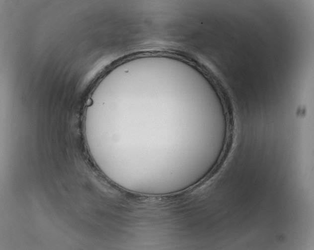 X0000111581259200907161147