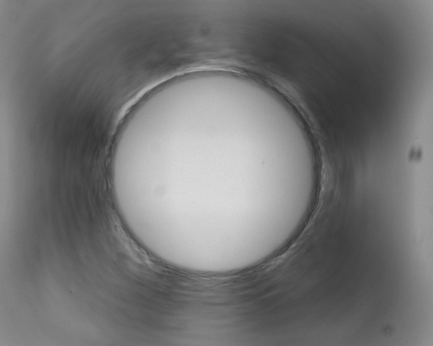 X0000111581260200907161147