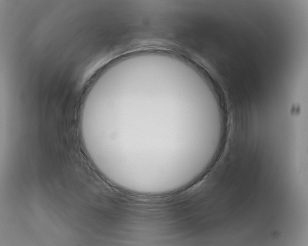 X0000111581261200907161147