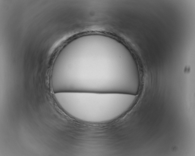 X0000111581262200907161147
