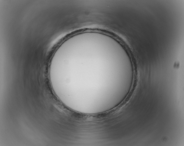 X0000111581263200907161147