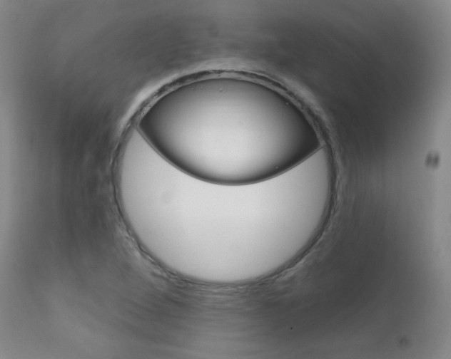 X0000111581264200907161147