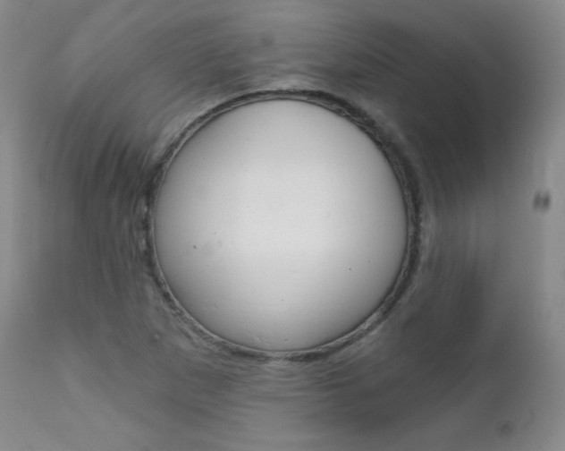 X0000111581265200907161147