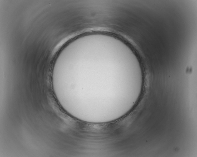 X0000111581266200907161147