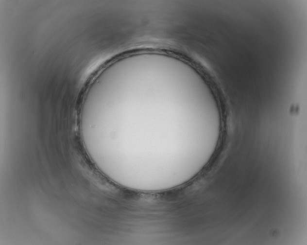 X0000111581267200907161147