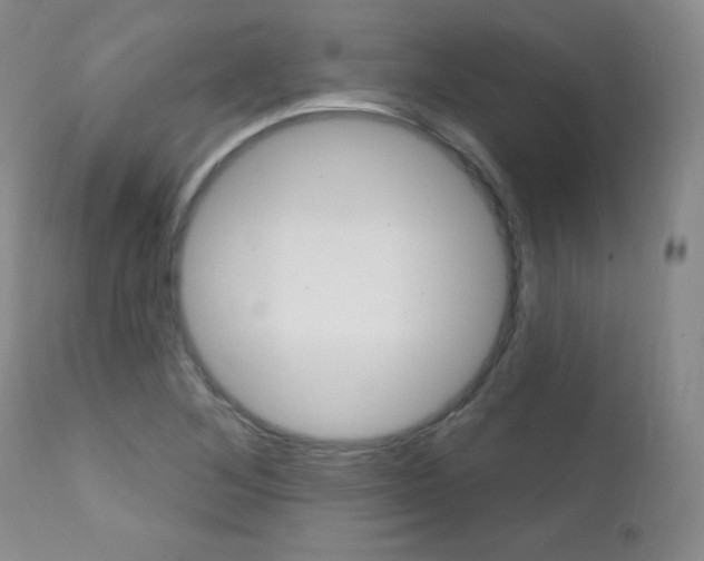 X0000111581268200907161147