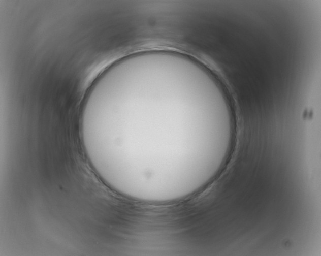 X0000111581269200907161147