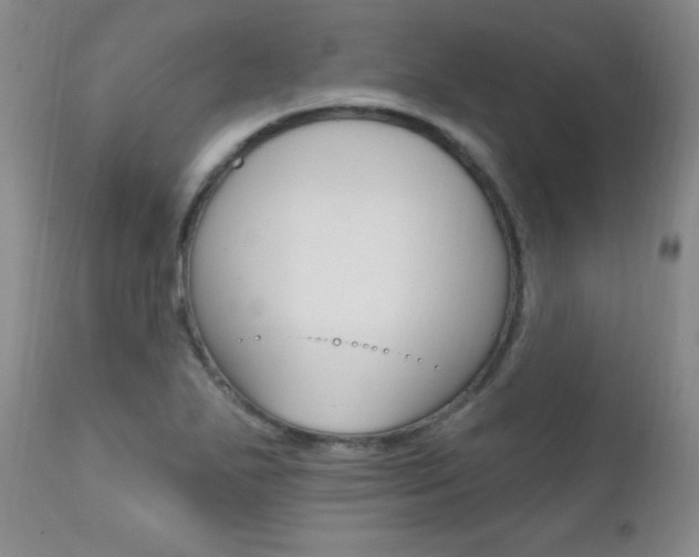 X0000111581271200907161147