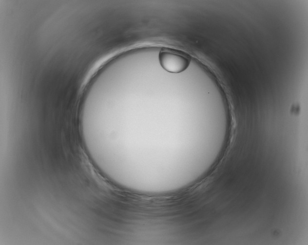 X0000111581272200907161147