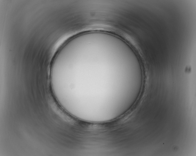 X0000111581275200907161146