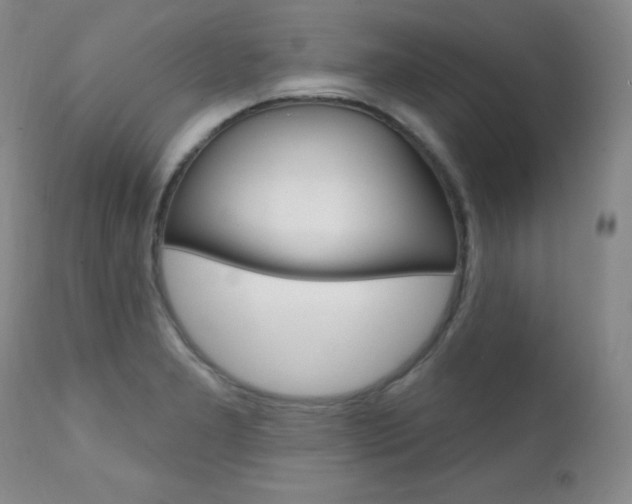 X0000111581277200907161146