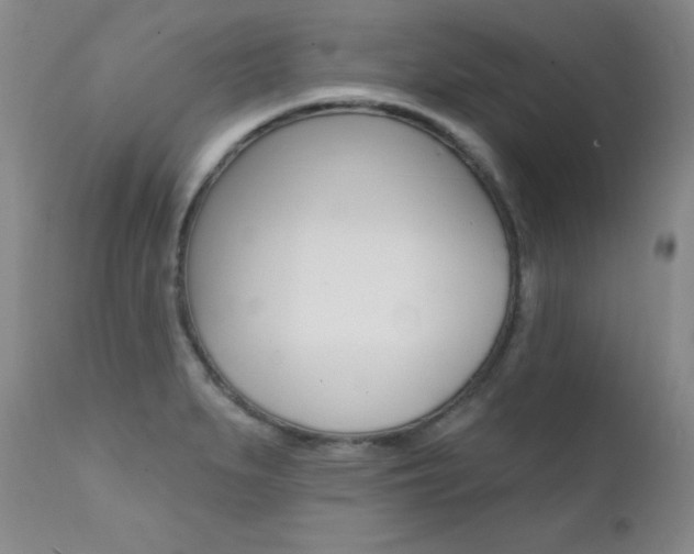 X0000111581279200907161146