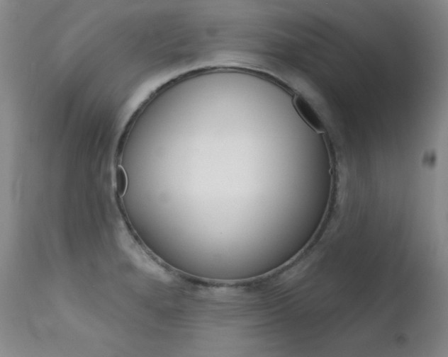 X0000111581280200907161146