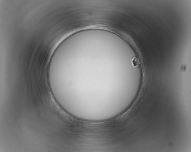 X0000111581284200907161146