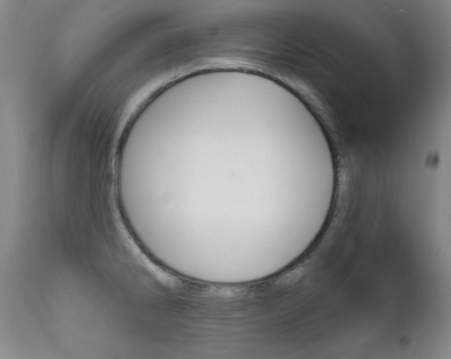 X0000111581286200907161146