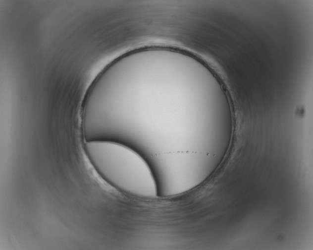 X0000111581287200907161146