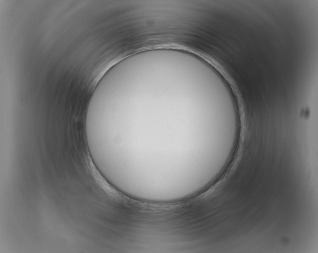 X0000111581289200907161146