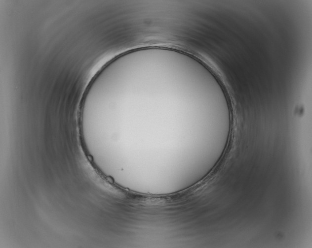 X0000111581291200907161146