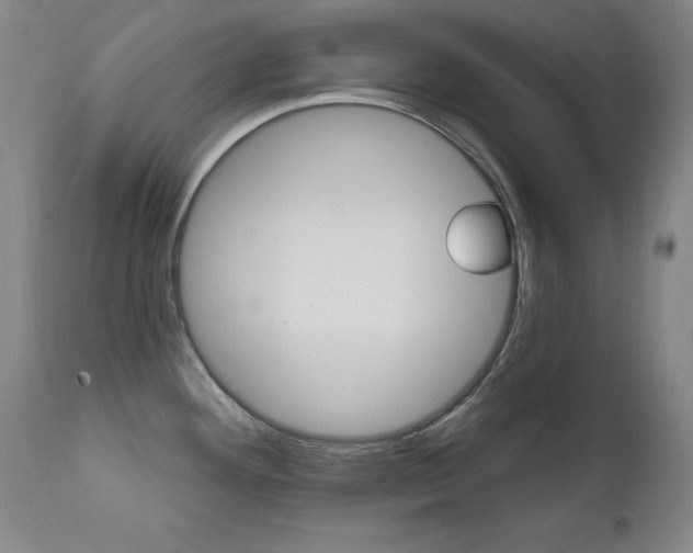 X0000111581292200907161146