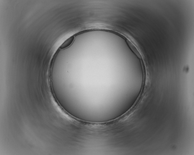 X0000111581293200907161146