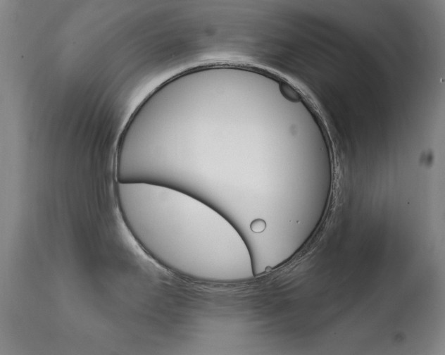 X0000111581295200907161146