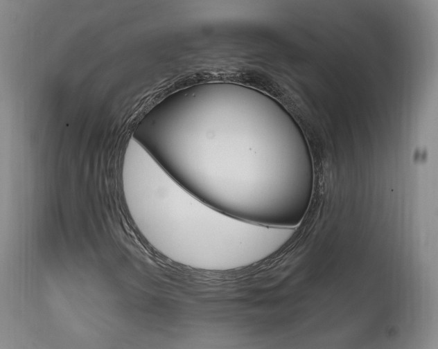 X0000111581298200907161146