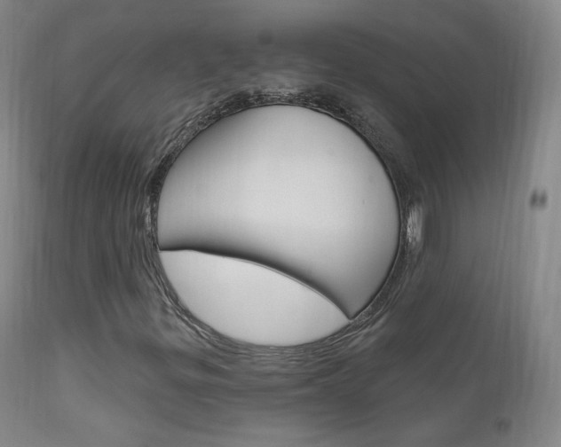 X0000111581299200907161146