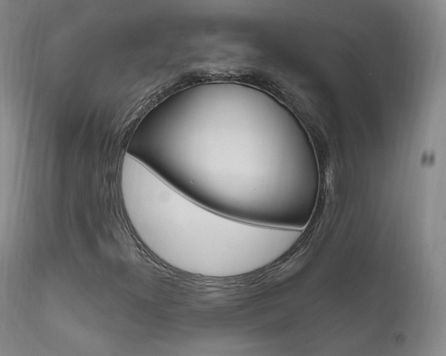 X0000111581300200907161146