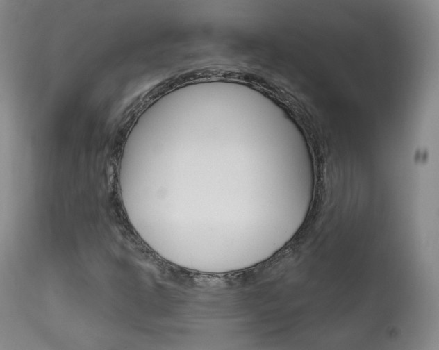X0000111581302200907161146