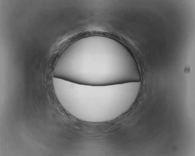 X0000111581303200907161146