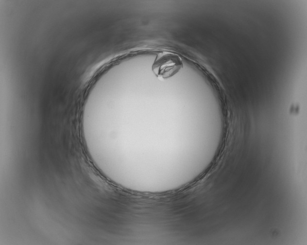 X0000111581304200907161146