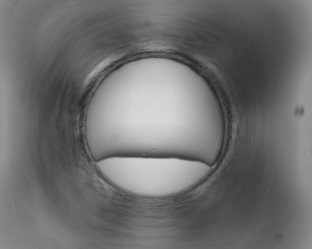 X0000111581306200907161146