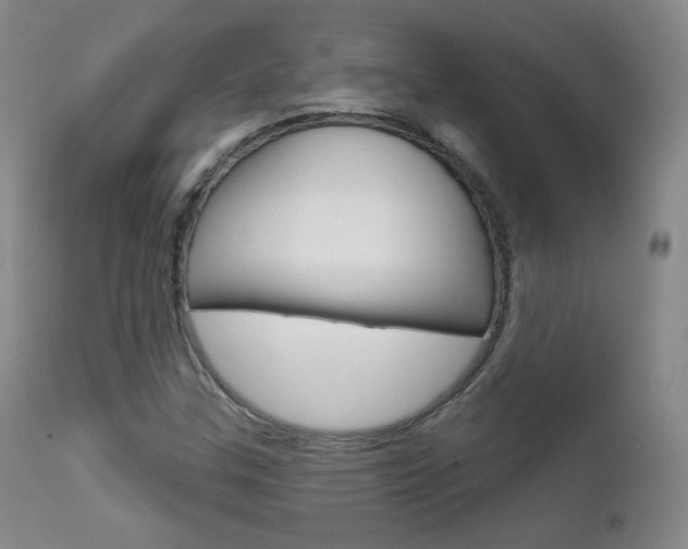X0000111581307200907161146