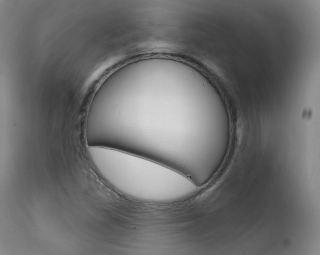 X0000111581309200907161146