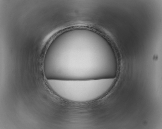 X0000111581310200907161146