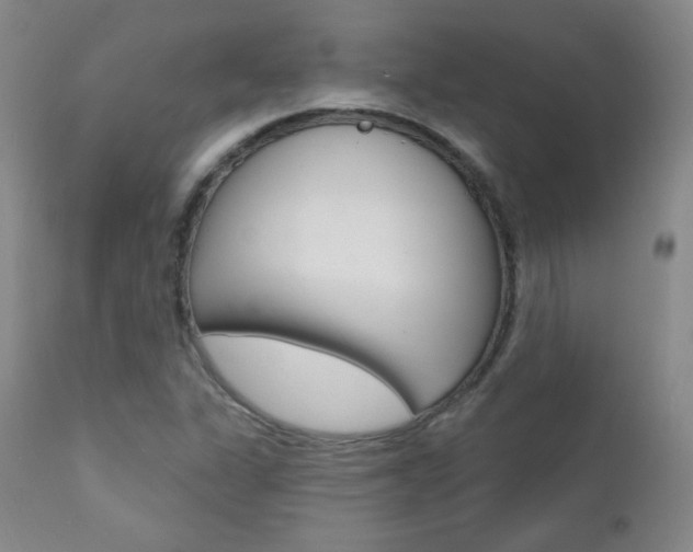 X0000111581311200907161146