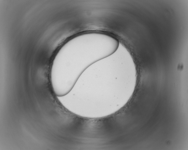 X0000111581314200907161146