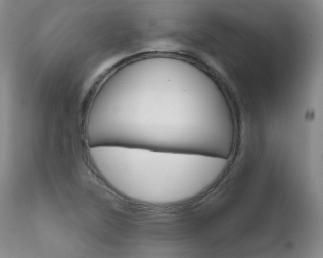 X0000111581315200907161146