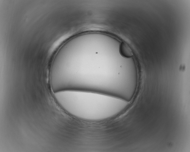 X0000111581317200907161146