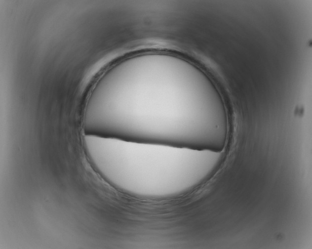X0000111581318200907161146