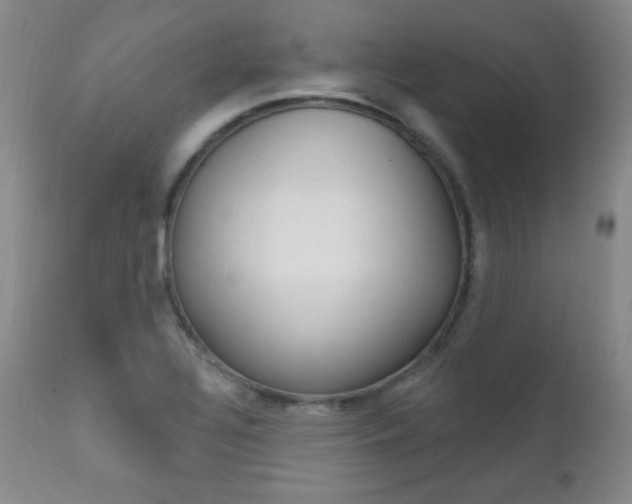 X0000111581320200907161146