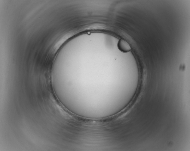 X0000111581321200907161146
