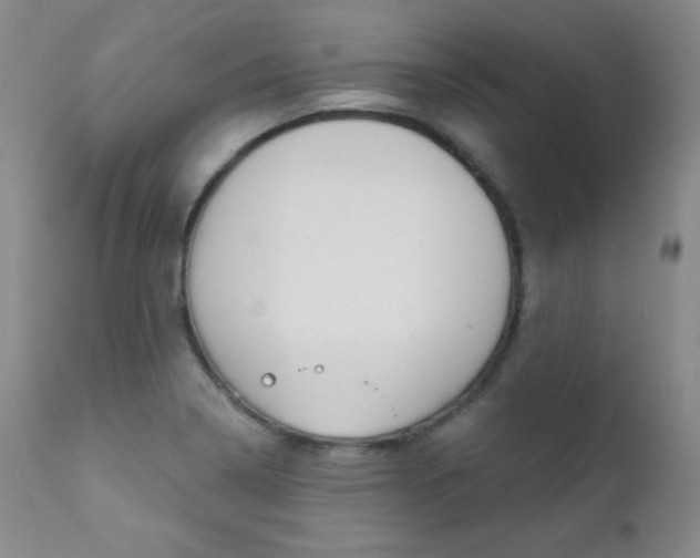 X0000111581322200907161146