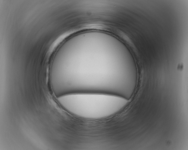 X0000111581323200907161146