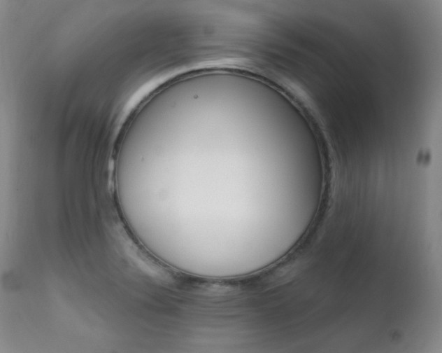 X0000111581324200907161146